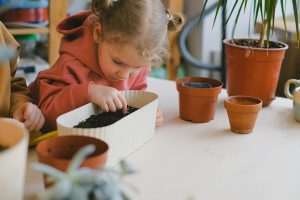 Young child plants seeds in soil indoors, encouraging curiosity in ecology and gardening.